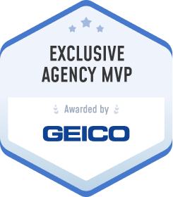 GEICO Exclusive Agency MVP Award