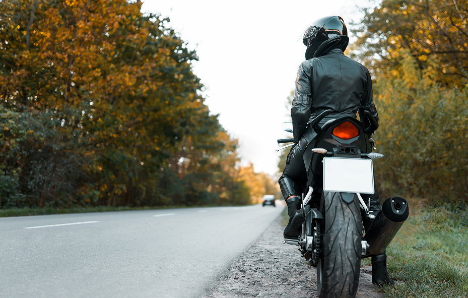 Motorcycle rider on a highway surrounded by autumn trees, viewed from behind